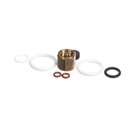 SYNESSO Rebuild Kit For Steam Valve With Seat Holder WO P 1.7320